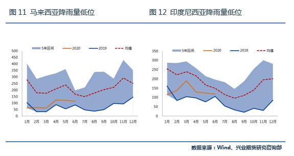 积极利多因素仍将强化，棕榈油目标价位上调
