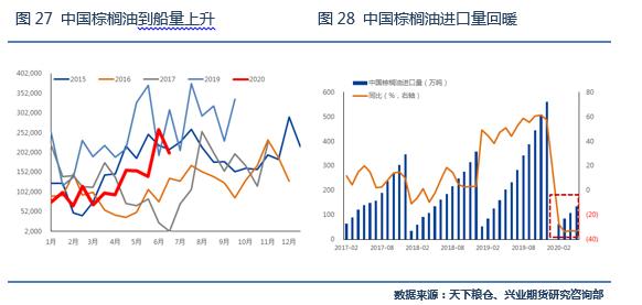 积极利多因素仍将强化，棕榈油目标价位上调