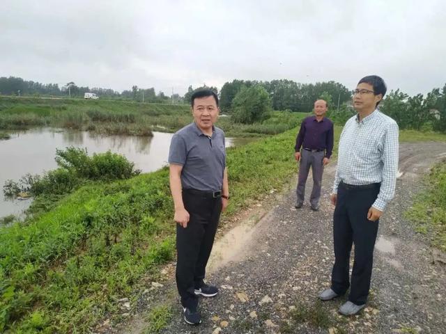  [Flood control front line] Quanjiao, Anhui: Blasting for flood discharge, they are fighting at the forefront of protecting the safety of the masses