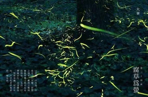 有关|大暑来了 来一波和大暑有关的美图教你发朋友圈