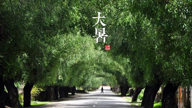 清风|赤日几时过清风无处寻 今日大暑看这里了解下大暑的由来？