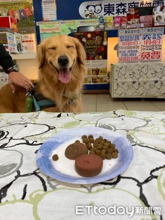 想当宠物系网红最怕照片糊　78.7%网友敲碗：给我