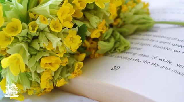 有一種聰明，叫做“冷處理”