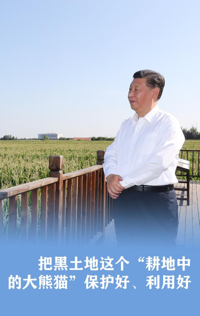 习近平：食为政首