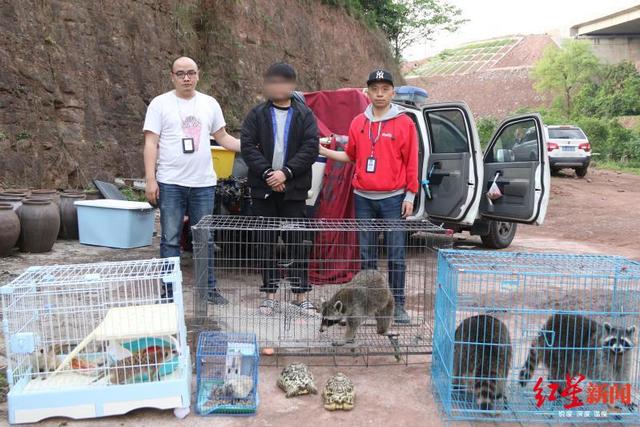 四川泸州警方破获跨省野生动物买卖案，解救水獭猕猴等多只国家保护动物