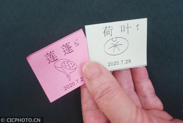 杭州西湖荷叶莲蓬开卖 市民游客排队抢购 网文选读 第5张