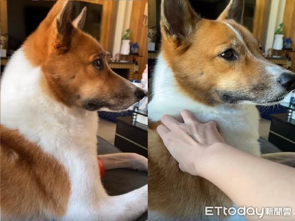 手手要来了！米克斯忍不住笑意嘴角上扬　停止