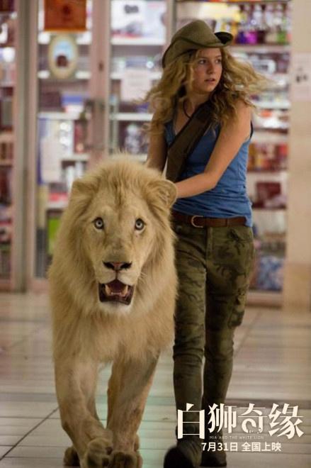 电影《白狮奇缘》上映 热血少女与狮子共同成长