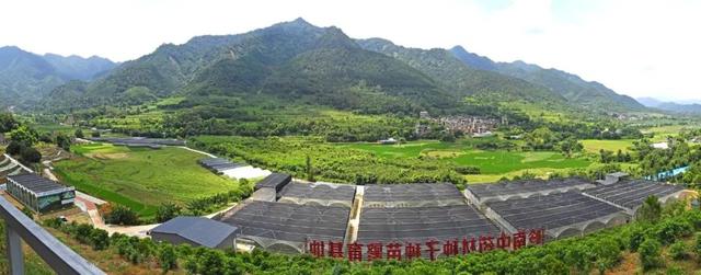云浮市召开中医药大会：聚力实施“五个工程” ，推动中医药高质量发展