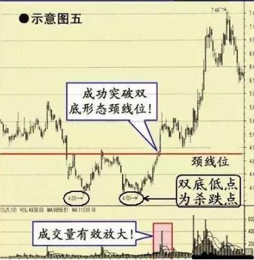 巴菲特眼中的A股医药股：5年前5178点买入5万长春高新，无视涨跌到现在是什么光景？真正的生钱之道