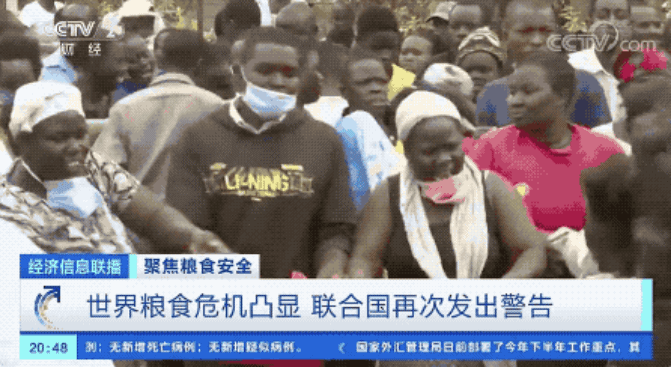 世界瀕臨嚴重糧食危機 中國老百姓的“米袋子”會受影響嗎？