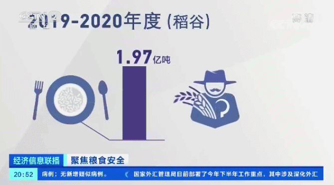 世界瀕臨嚴重糧食危機 中國老百姓的“米袋子”會受影響嗎？