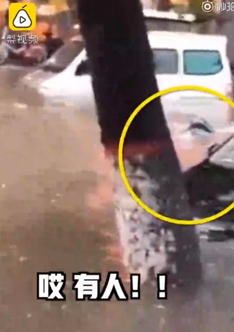 游泳|女子积水中游泳险遭车撞 网友：心真大这水也太脏了
