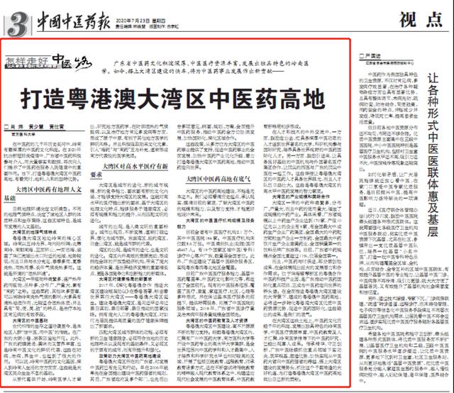 打造粤港澳大湾区中医药高地