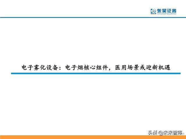 电子烟行业研究及投资策略：从思摩尔看电子烟黄金时代