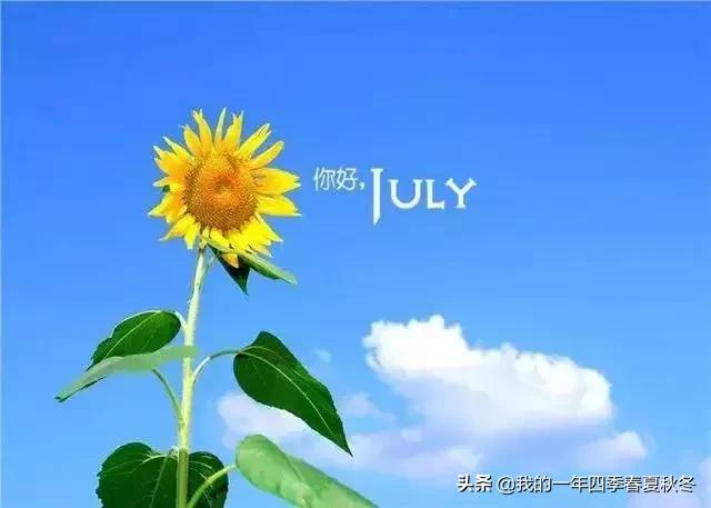 六月：唯美再见六月你好七月图片句子简短，总有一句能够表达你的心情