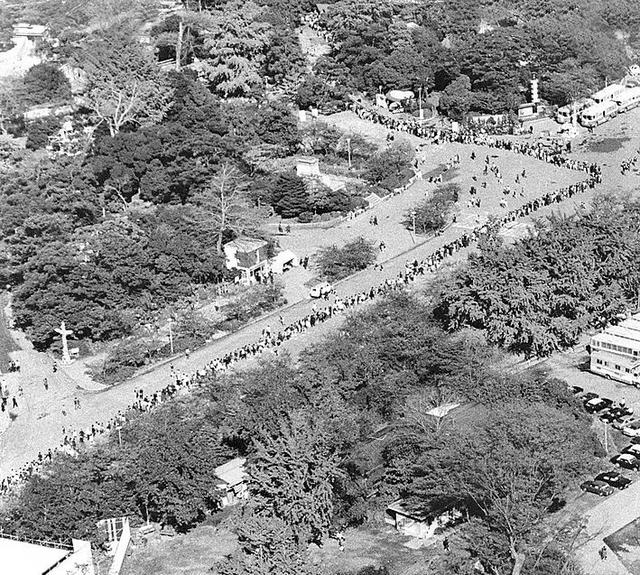 想和熊猫结婚、为看熊猫放弃妹妹婚礼！网友：