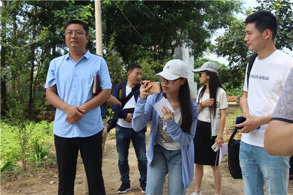 遂平革命老区行之三：发展特色产业脱贫攻坚全覆盖 改善基础设施乡村振兴树形象