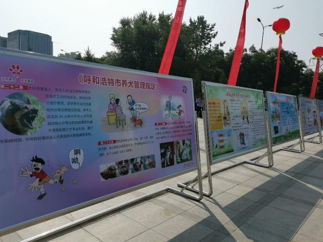 呼和浩特将实行“一犬一证”：未经登记、年检、免疫不得养犬