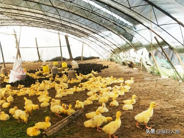摄影师转行送外卖，设计师亲自直播卖货，特殊时期他们这样求生存