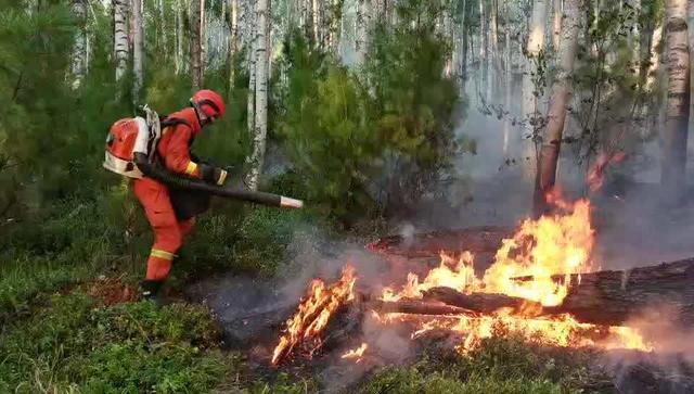 内蒙古大兴安岭北部原始林区多点爆发森林火灾，正紧急扑救
