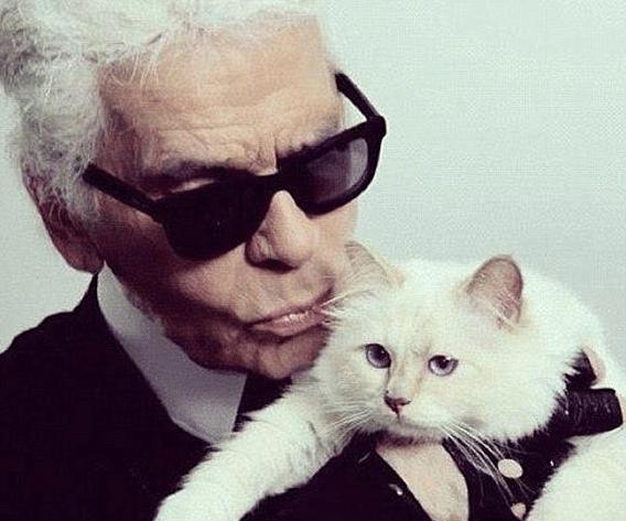 世界上最有钱的猫，继承老佛爷21亿的遗产，如今