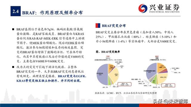 肺癌专题报告：序贯靶向治疗是核心，免疫联合治疗是新常态