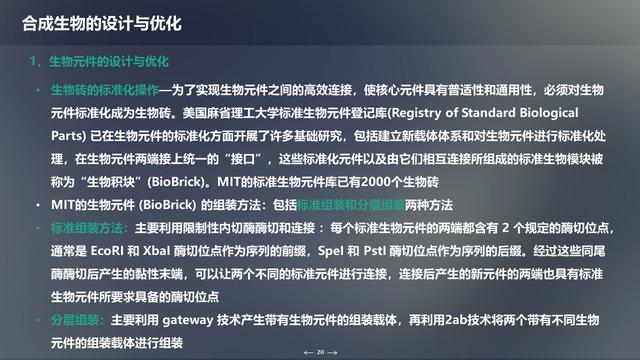 未来生物科技技术：合成生物学概述及应用