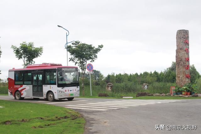 南京公交90路、181路拟优化调整，现向市民征求建议