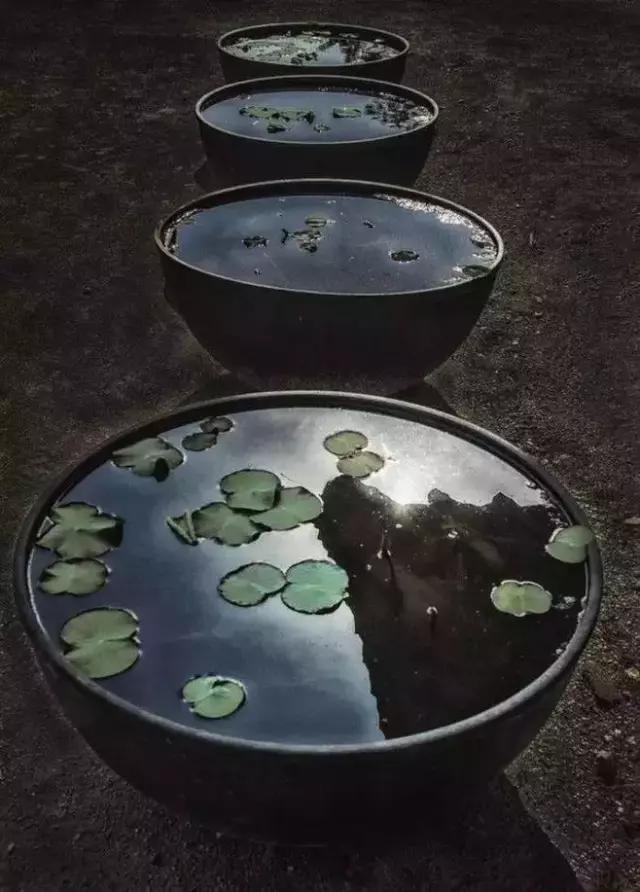 八月|七月，再见！八月，你好！祝你岁月无波澜，敬我余生不悲欢