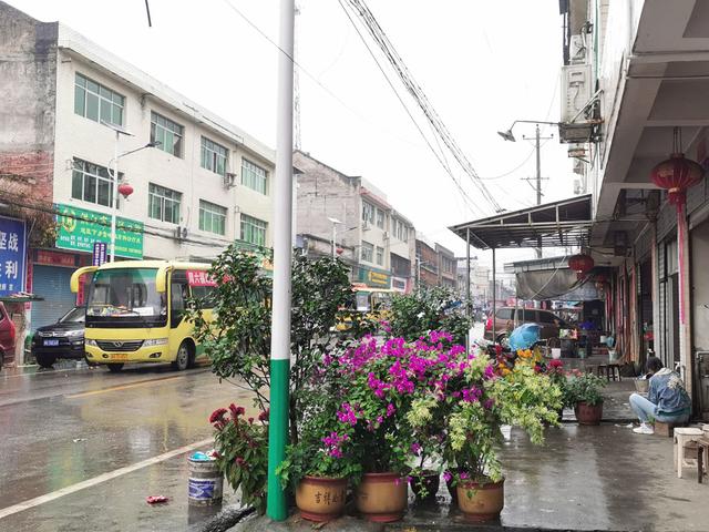 摩旅湘西，单人单车翻越湖南第一大山，雨雾中的雪峰山奇秀险峻