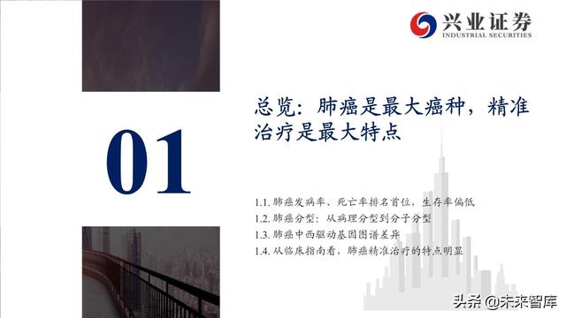 肺癌专题报告：序贯靶向治疗是核心，免疫联合治疗是新常态