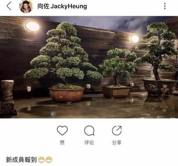 郭碧婷怀孕后颜值大不如以前，挺六个月孕肚逛街，向佐并没陪同