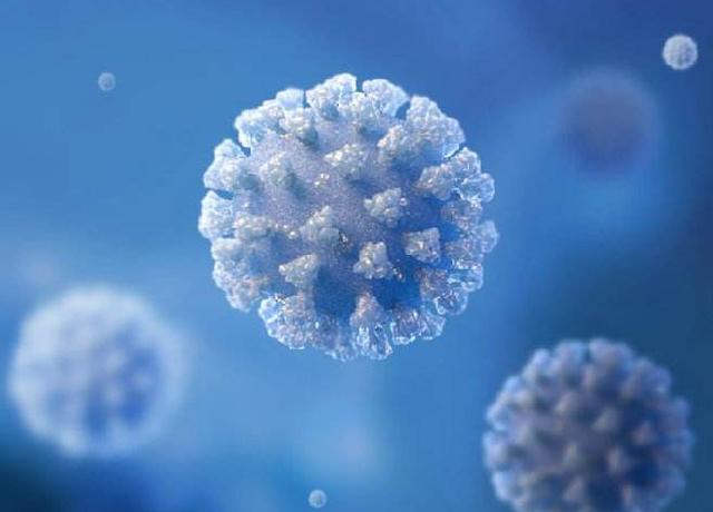 5月17日！病毒起源实锤？人民日报：特朗普终究