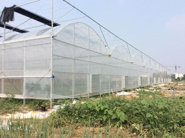 什么是连栋温室大棚M撑？大棚M撑的作用是什么？