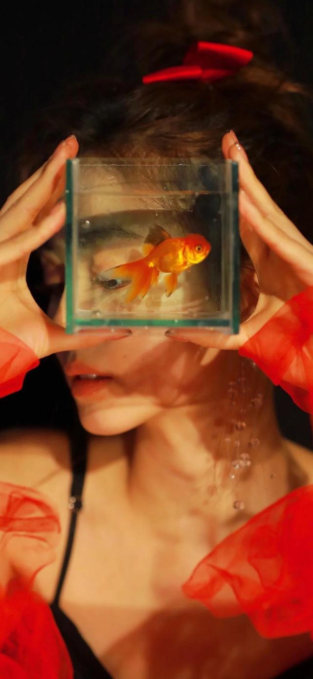 心语|一句话晚安心语说说句子：小时候有无数的梦想现在只想好好生活