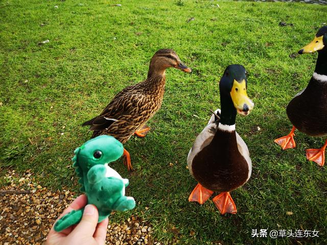 疫情期间的佛系伦敦游-你不在，依然与你同行#在家云旅游#