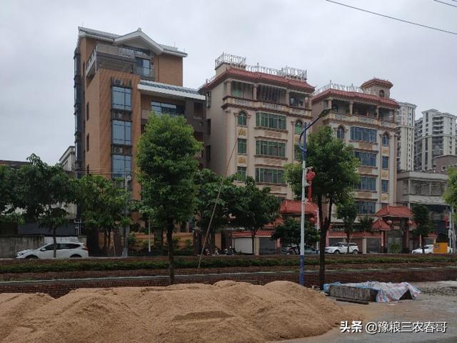 所谓的农村首富都是经营什么产业？究竟小康还