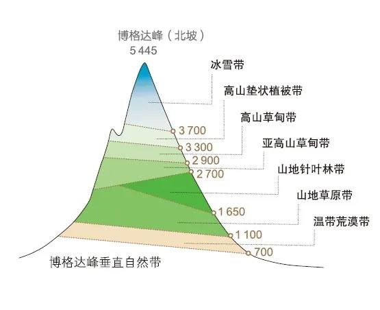 从遮天蔽日的原始森林,到牛羊遍布的牧场草甸,博格达峰的垂直自然带