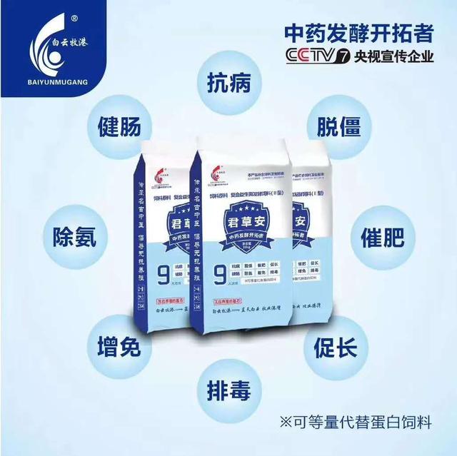 牛热应激问题，应该如何解决？