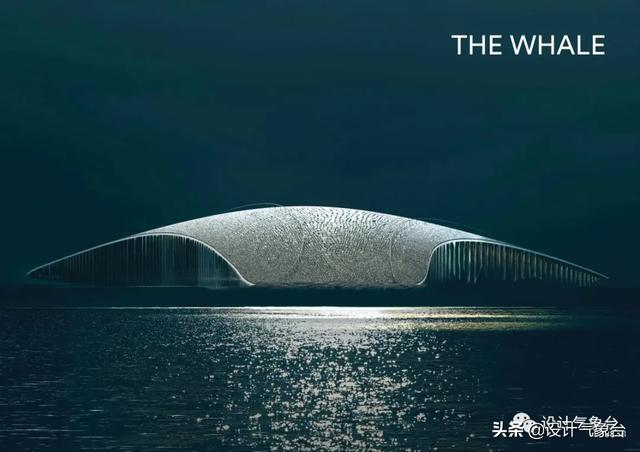 BIG惜败！再牛的方案也比不过一头鲸