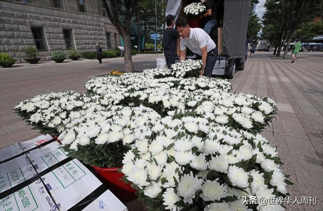 被誉文在寅接班人、深得民心，为何走上绝路？