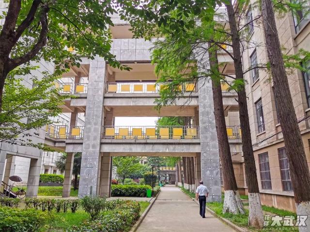 武汉科技大学，神一样的大学