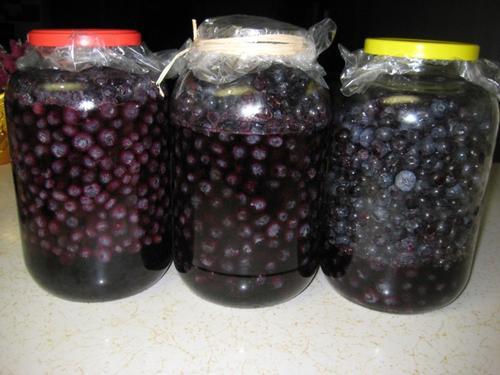 26種精致水果酒，泡制方法簡單，先收藏起來，夠你學一陣子了