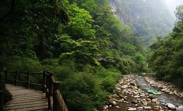 重庆最值得一去的景区，夏天的避暑胜地，被誉为“西南神农架”