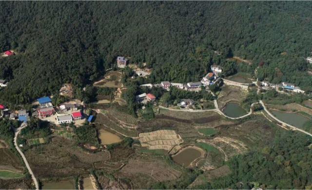 湘农青年扎根基层，红色筑梦情暖上善