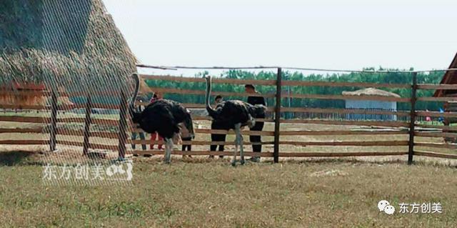 苗利：七月下江南，去庄子故里晓梦一场