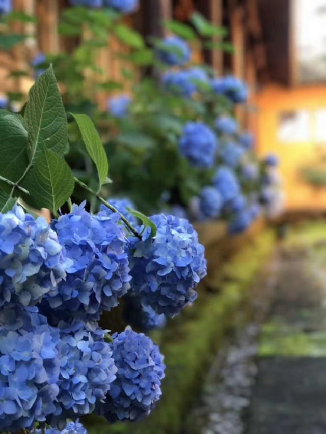 �𷨸��� �� ���ٴ�ʦ�����ֵߵ�