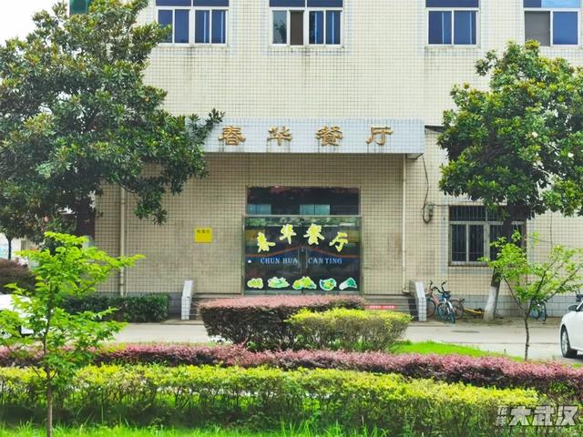武汉科技大学，神一样的大学