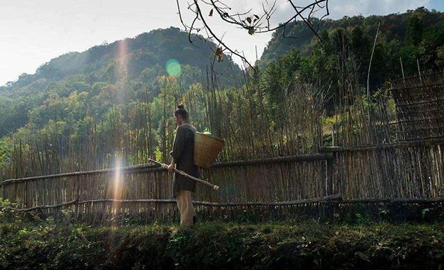 男子隐居海拔千米深山8年，与女弟子结婚生娃，